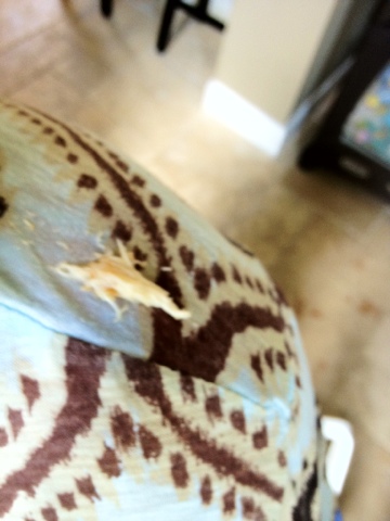 blogger-image--650180379