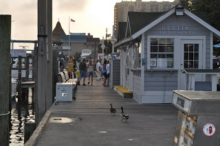 Destin Charter Service