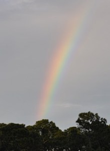 Destin Commons parking lot
