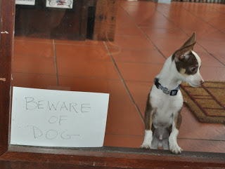 realjoy Beware of dog