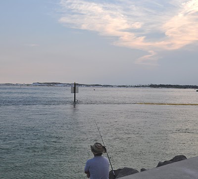 What mr big bird was sneaking up on