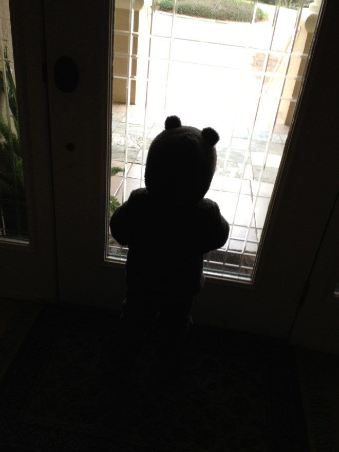 Bear in Regatta Bay Snuggly Bear in Regatta Bay